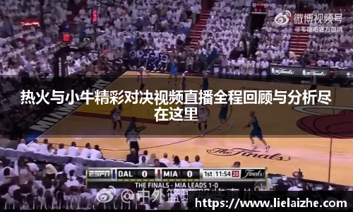热火与小牛精彩对决视频直播全程回顾与分析尽在这里