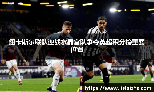 纽卡斯尔联队迎战水晶宫队争夺英超积分榜重要位置
