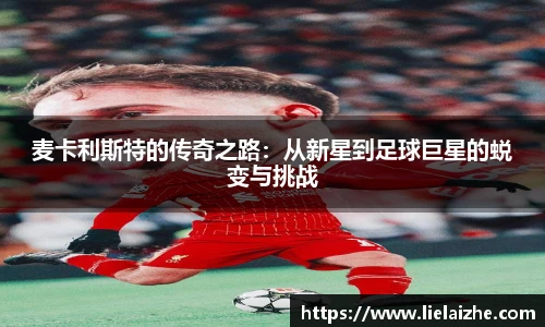 火狐电竞官网