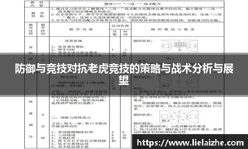 防御与竞技对抗老虎竞技的策略与战术分析与展望